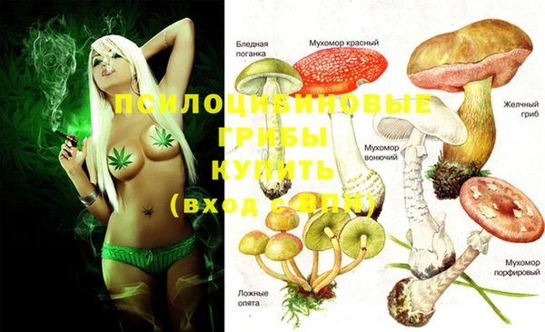 apvp Нефтегорск