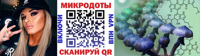 Псилоцибиновые грибы ЛСД  Острогожск 